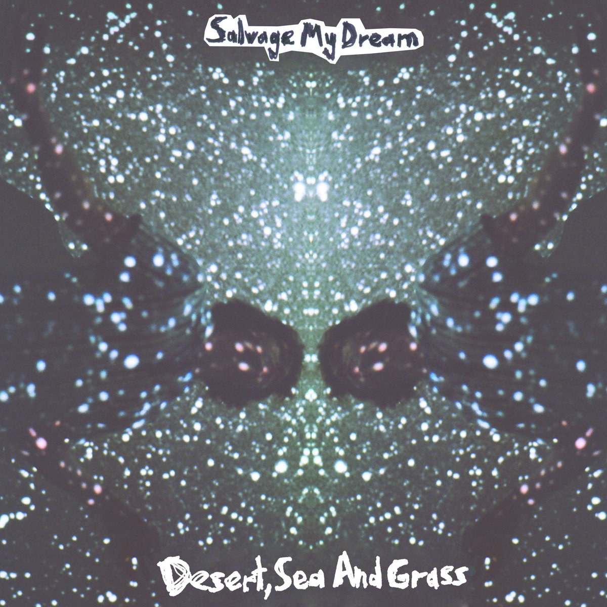 Desert, Sea And Grass cover with a mirrored field of night-time lights.